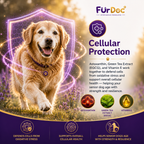 FurDoc Senior Support Dog 7+ | Senior Dog Supplement (6-in-1 Healthy Aging Formula)