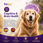 FurDoc Senior Support Dog 7+ | Senior Dog Supplement (6-in-1 Healthy Aging Formula)