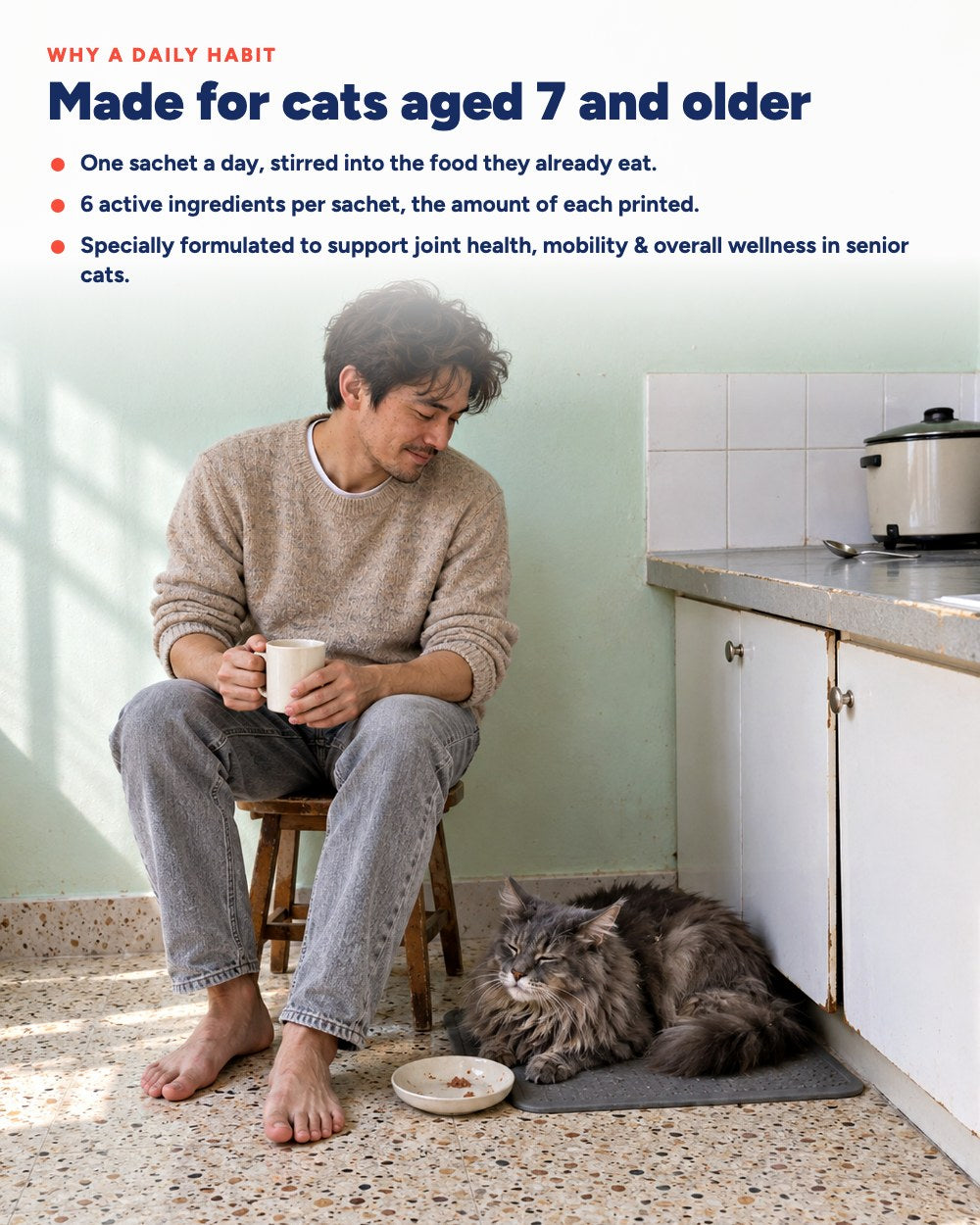 Why a daily habit for an older cat