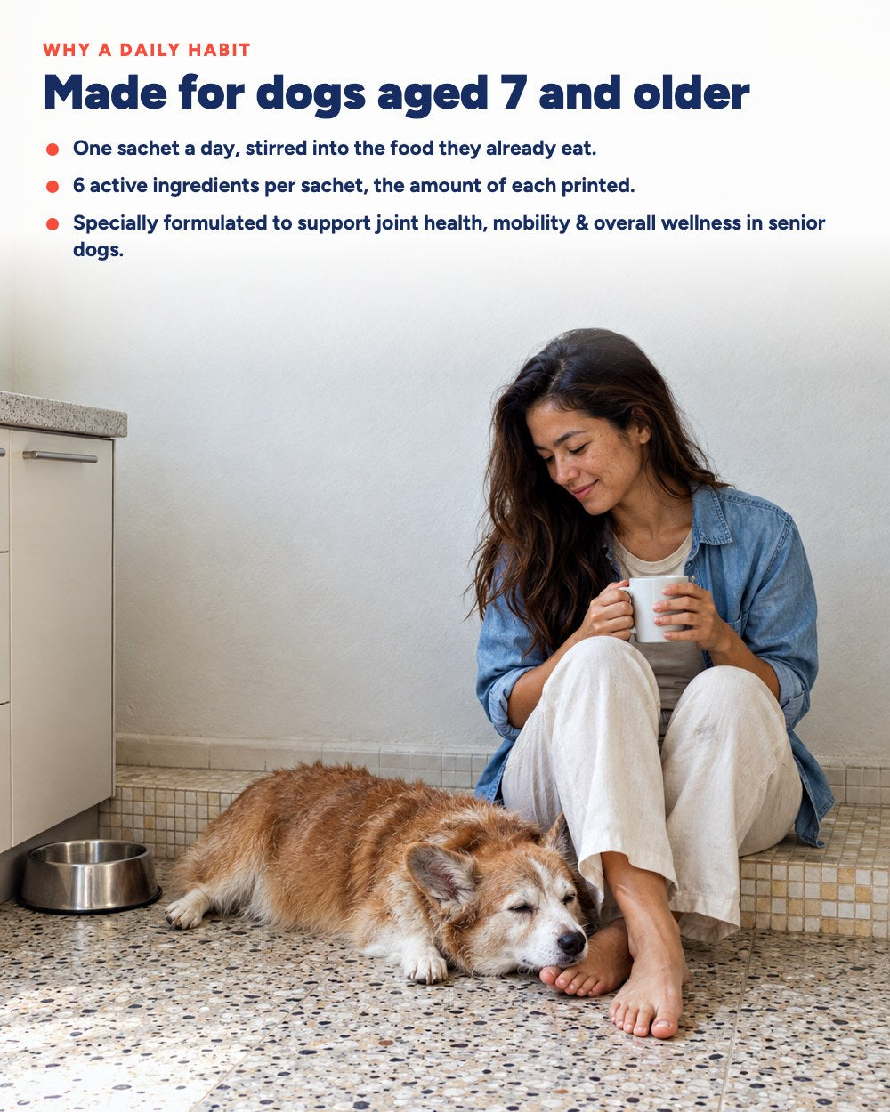 Why a daily habit for an older dog