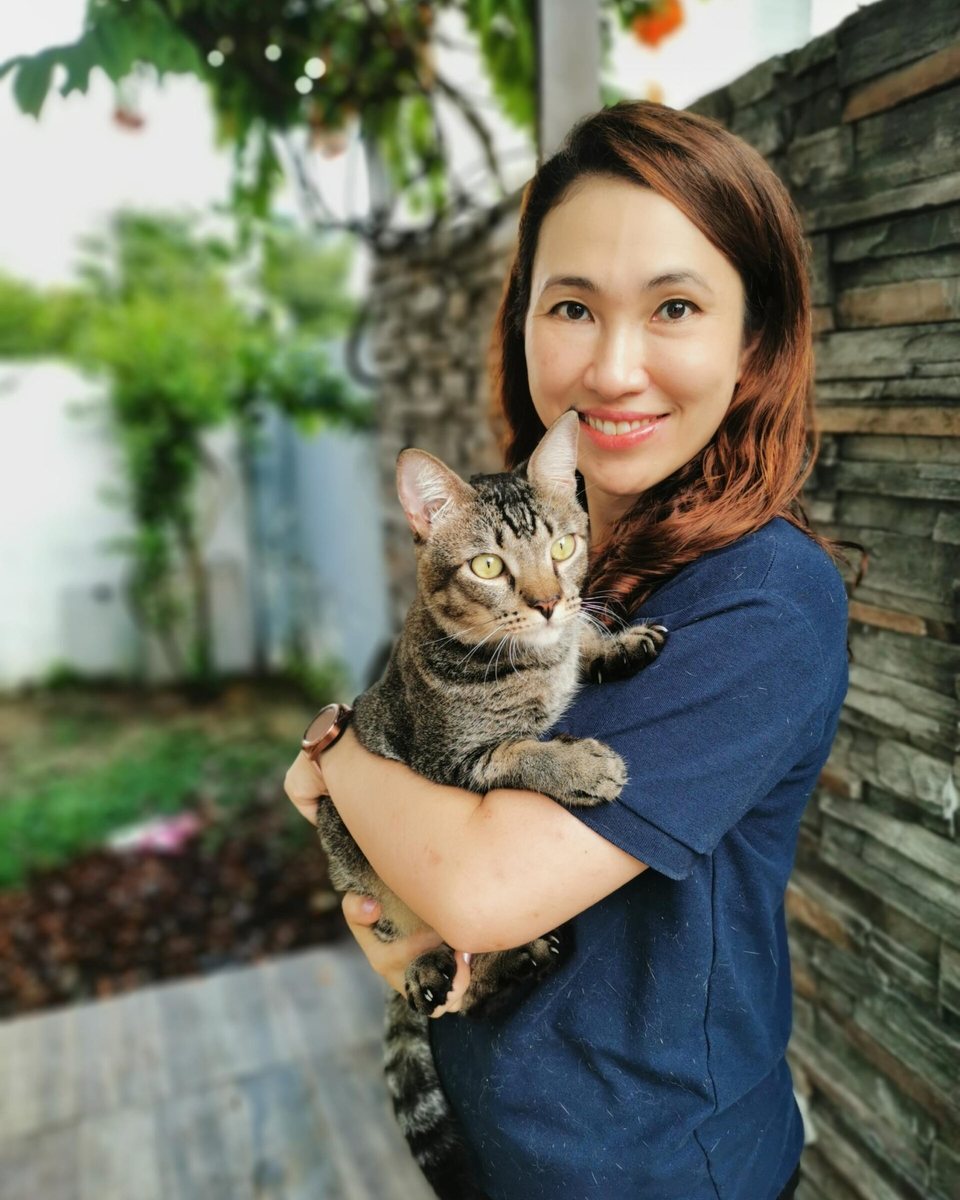 Dr Lee Wai Wai holding a tabby cat